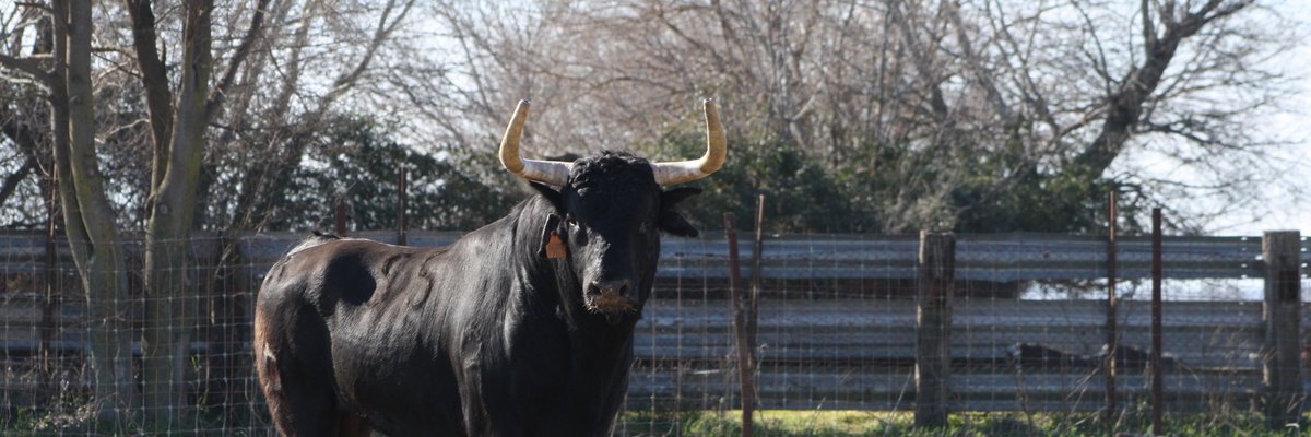 Estamos de vuelta..cuanto tiempo sin estar por estos barrios...!