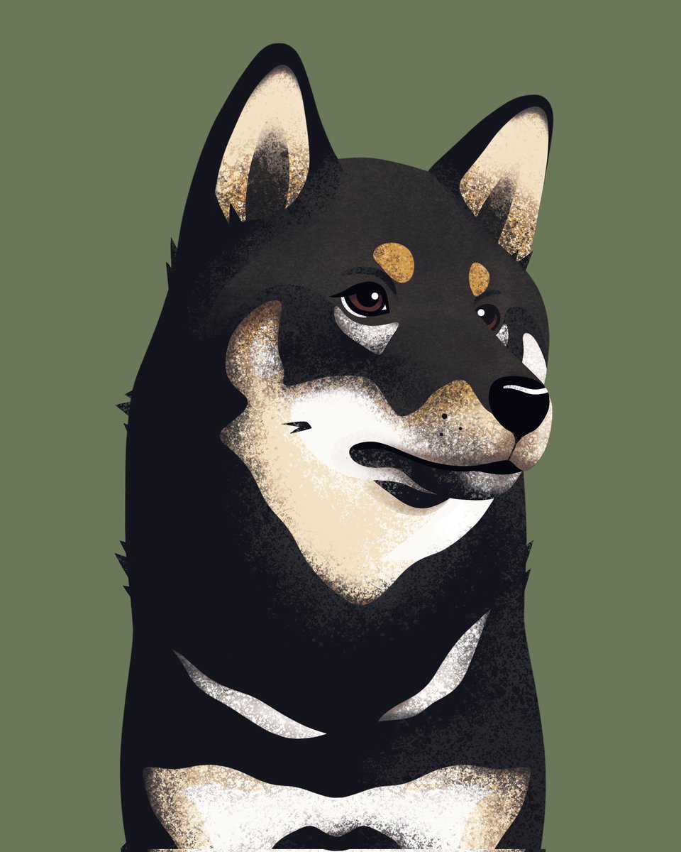 PoochAndPrint's tweet photo. Another commission that was gifted for Christmas by Alison to her amazing daughter and my good friend @evimachine ✨️🐶🌿Tifa is the most gorgeous &amp; cheekiest lil Shiba Inu! I loved working on this one! ⛩️ #ShibaInu #SHIBA #DogsofTwittter #illustration #illustrationart #dogs https://t.co/3SLhNe0o2U