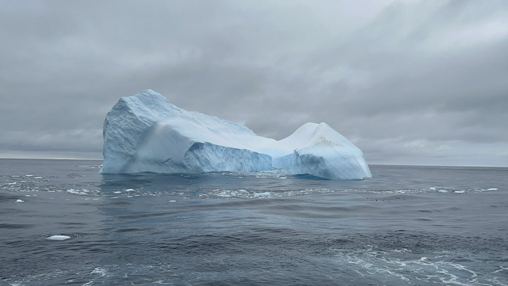 Heading towards the Weddell Sea and saw icebergs for the first time!!! Lots of penguins and fur seals as well 🐧🫶🏼🦭 #SDAScience