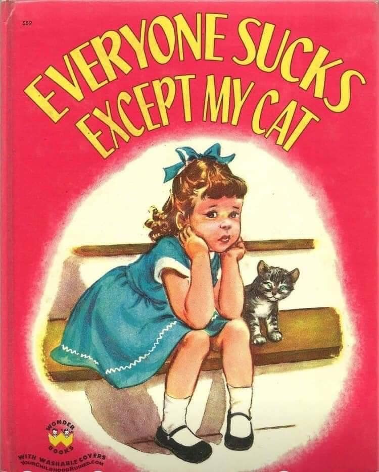 cats who share one braincell (@catbraincell) on Twitter photo 