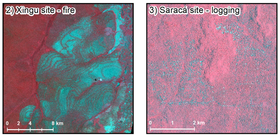 📢My first post-doc paper is out! 🎉
Classification of degraded forests in the Amazon with Planet images, and assessment of biomass uncertainty when uncertainty in forest class is considered as well. 
cbmjournal.biomedcentral.com/articles/10.11…
 @mdplongo <a href="/ovidiucsillik/">Ovidiu Csillik</a>