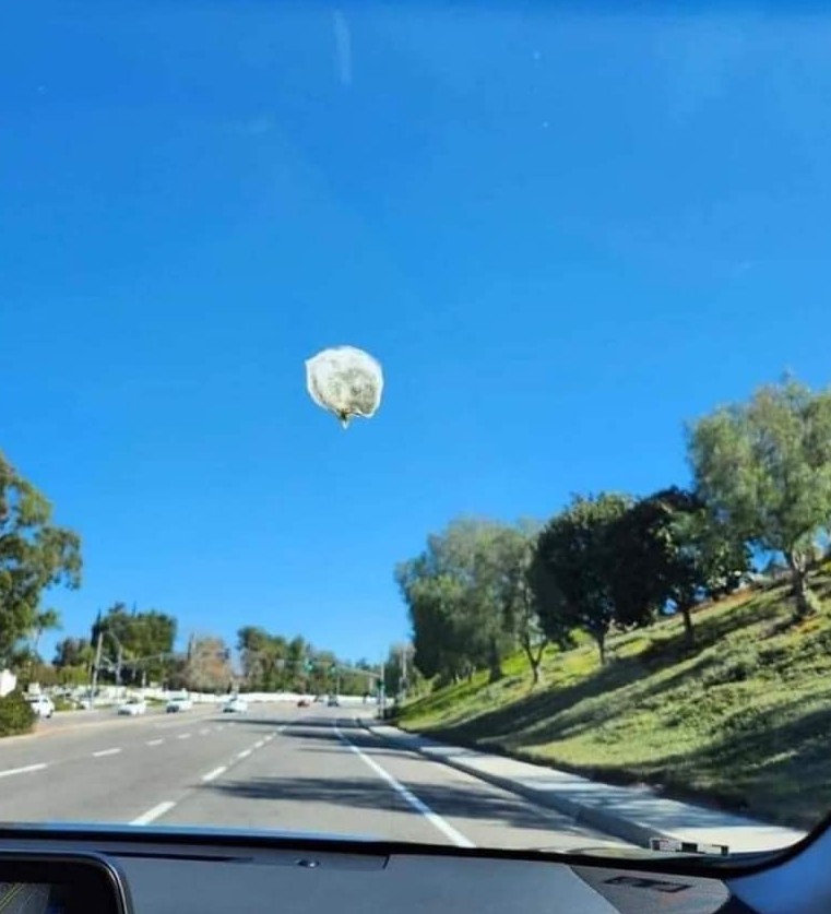 North American followed a Chinese balloon during 200 miles until realizing it was bird poop