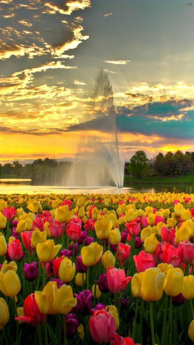 nature_forum's tweet image. So 😍 #nature