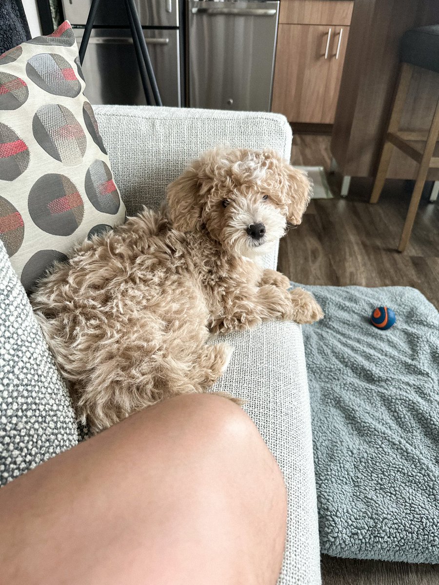 Andrew Smith tweet media