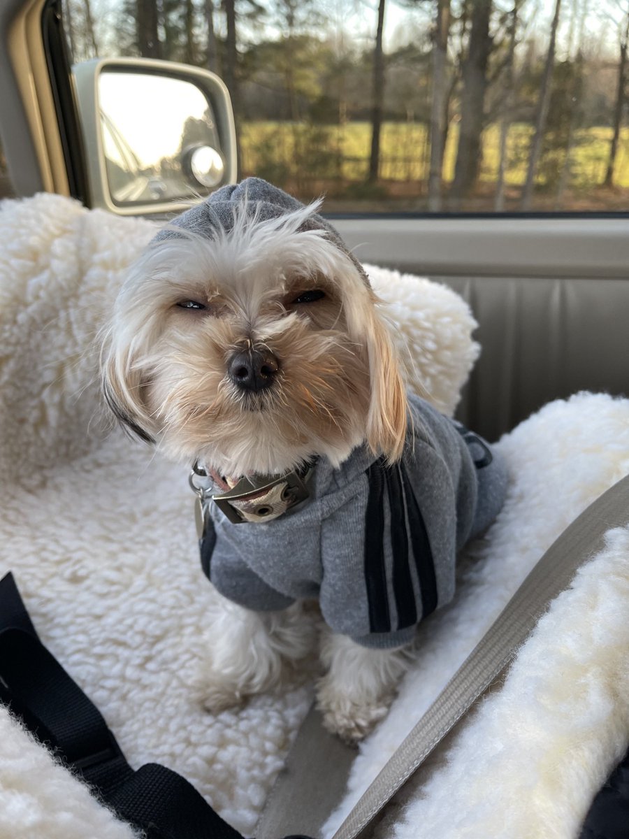 Andrew Smith tweet media