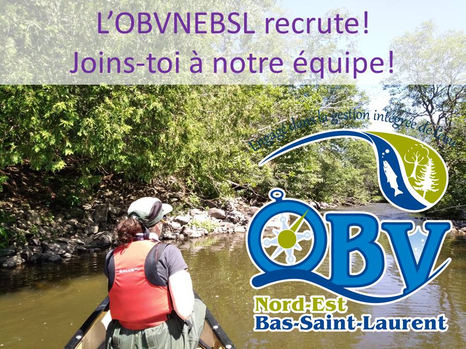 Appel de candidatures à l’OBVNEBSL pour un poste de chargé(e) de projets 
Pour consulter l'offre complète : bit.ly/3K6jkt0