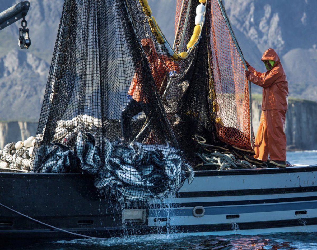 Net Gains Alliance tweet media