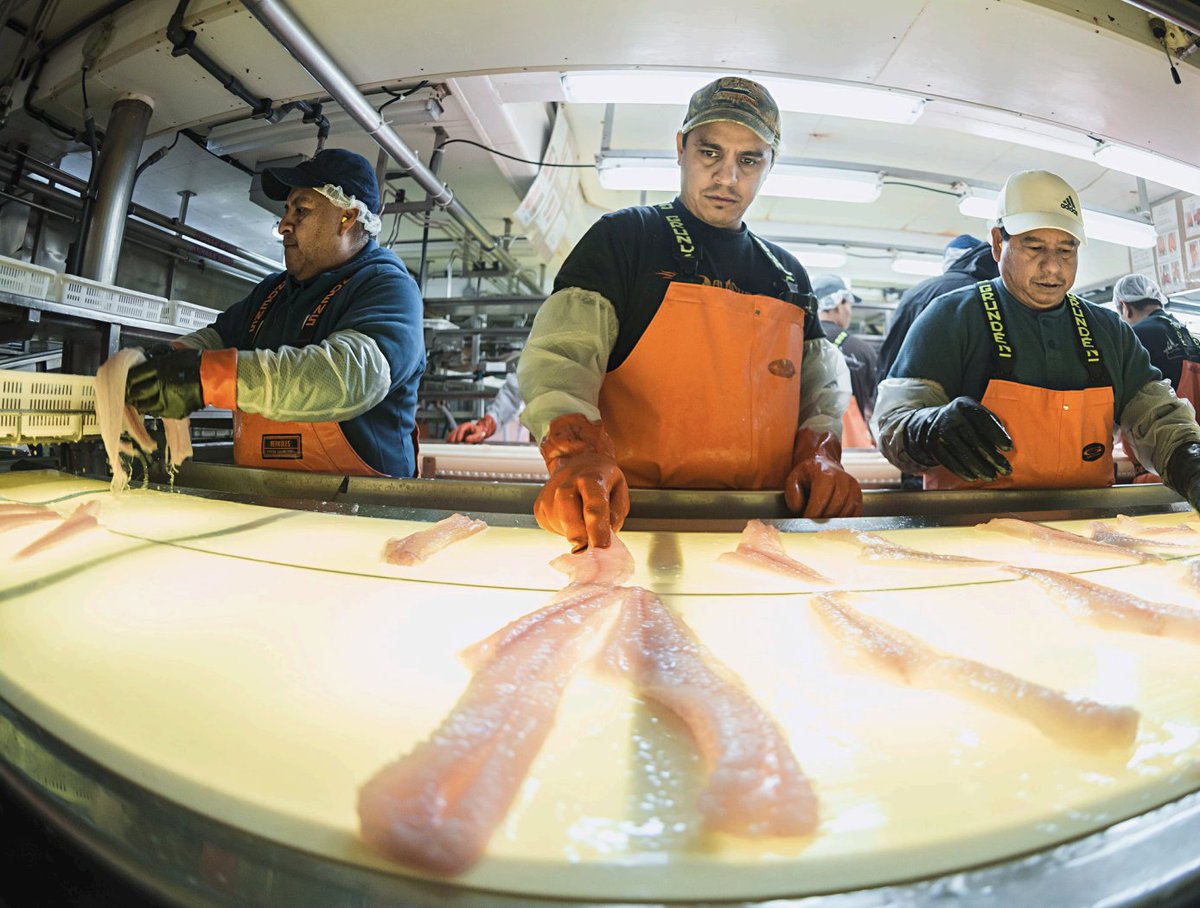 A 2021 survey of stakeholders in U.S. fisheries suggests opportunities for improvements &amp; innovation in commercial fishing industry technology.

ow.ly/XmtB50MS29e

#fisheries #ais #vms #fishtech #em4fish <a href="/conservationx/">Conservation X Labs</a> <a href="/SMTPSF/">Schmidt Marine</a> <a href="/AkOceanCluster/">Alaska Ocean Cluster</a> <a href="/SeaHarvesters/">Seafood Harvesters of America</a> <a href="/NOAAFisheries/">NOAA Fisheries</a>