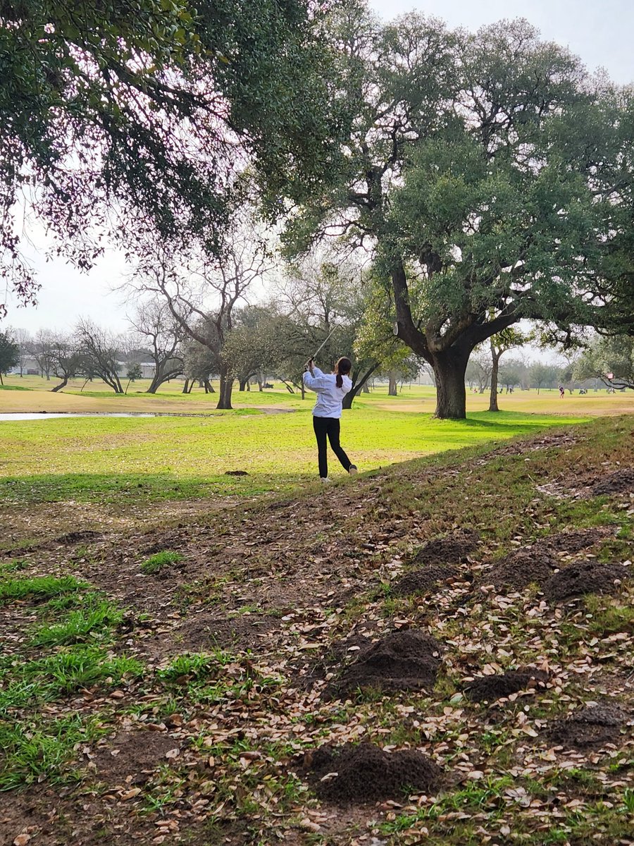 tamucowley's tweet photo. The rain has cleared out and it's a beautiful day on the course! Go get 'em ladies! #asogolf https://t.co/qAwGatFU0n