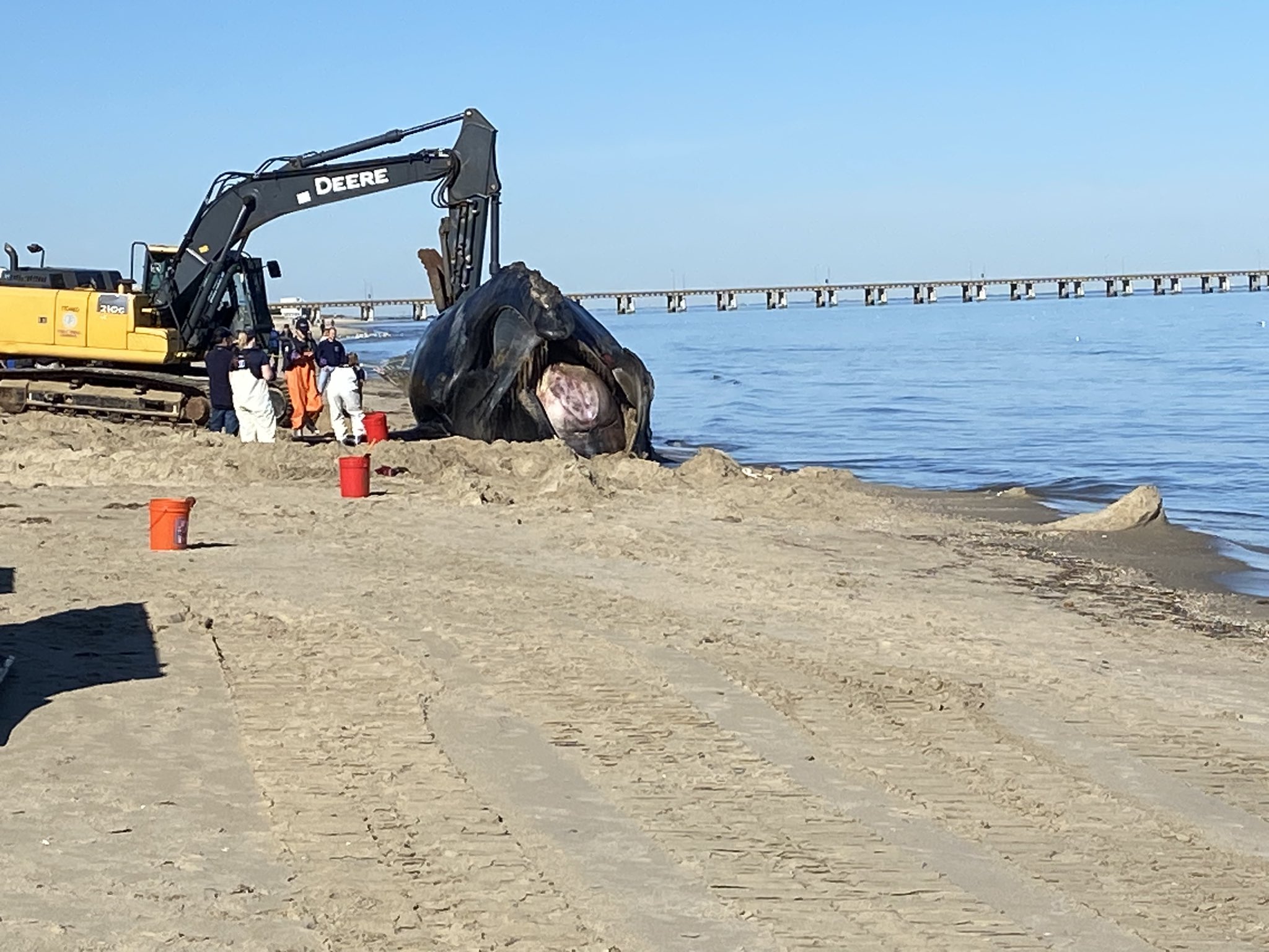 Nick Russo NBC12, nhà báo trẻ tài năng của Virginia Beach với tình yêu cháy bỏng với nghề. Hãy cùng tiếp tục khám phá chặng đường phóng viên của anh ta, cùng những đóng góp quan trọng và những câu chuyện ấn tượng. Đừng bỏ lỡ cơ hội để tìm hiểu về Nick Russo nhé!