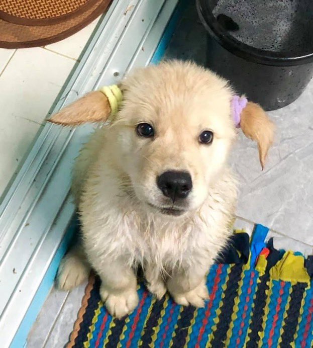 พร้อมไปโรงเรียนยาง