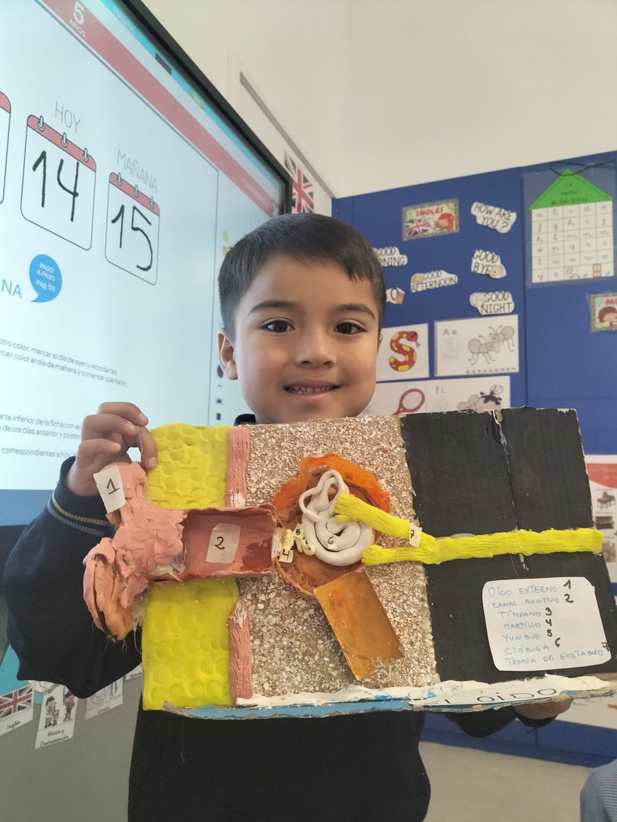 InfantilTajamar's tweet photo. El Cuerpo humano🦴
Con el proyecto "Somos doctores" los alumnos de #3ºInfantil están aprendiendo un montón de cosas del cuerpo humano: las partes del ojo 👀,los huesos 🩻 o las funciones del aparato circulatorio o digestivo.
¡Ay que ver lo que aprenden estos chicos!
#ProyectoABP https://t.co/ltOBewzWLK