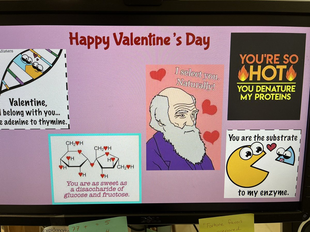 Melissa Bryant tweet media