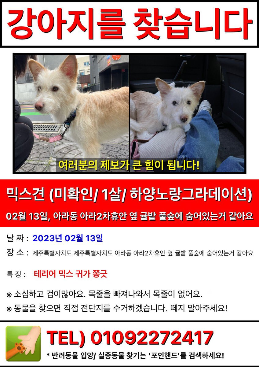 제주 아라동이래요! 제주 분들 제보 부탁드려요!