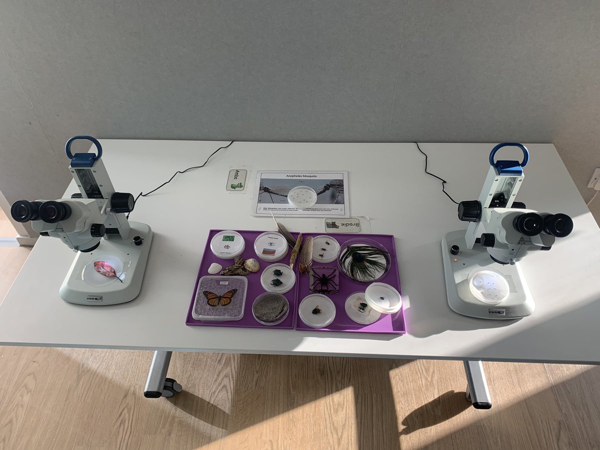 At a local primary school today sharing the joys of microscopy as part of Edinburgh Council’s <a href="/Edinburgh_CC/">The City of Edinburgh Council</a> #Discover programme! <a href="/SBSatEd/">Biological Sciences | University of Edinburgh</a> 🔬