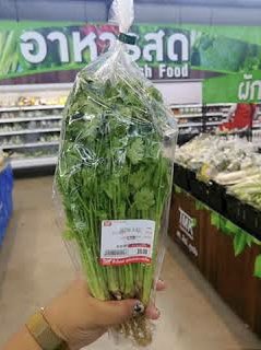 Nineit9's tweet image. กินผักเยอะๆ นะครับ ขี้สบายตูด @fxckincezk