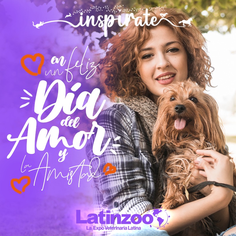 LATINZOO tweet media