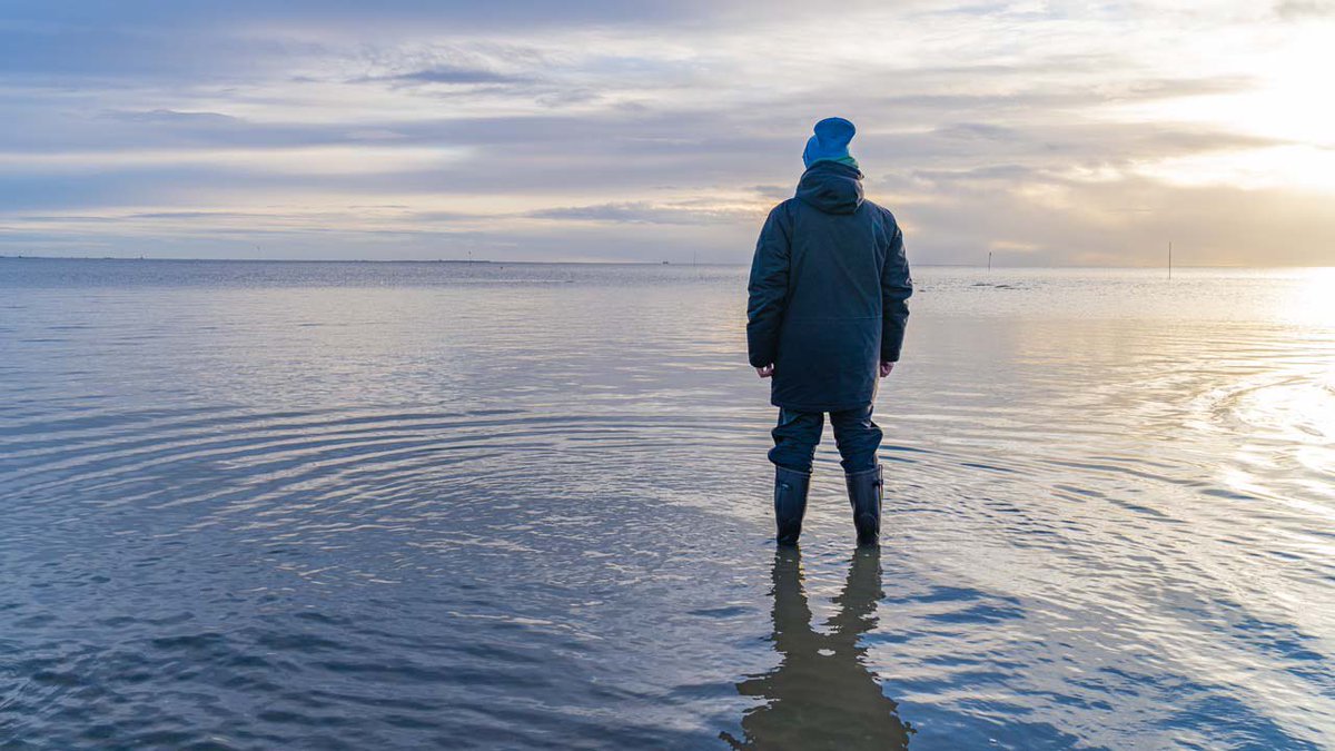 Liebe Leute, heute Abend läuft unsere #Klimawandel-Reportage „Vor uns die Sintflut”. 22.15 Uhr im #ZDF oder online in der Mediathek: mk-ol.de/ZDFVorUnsDieSi…