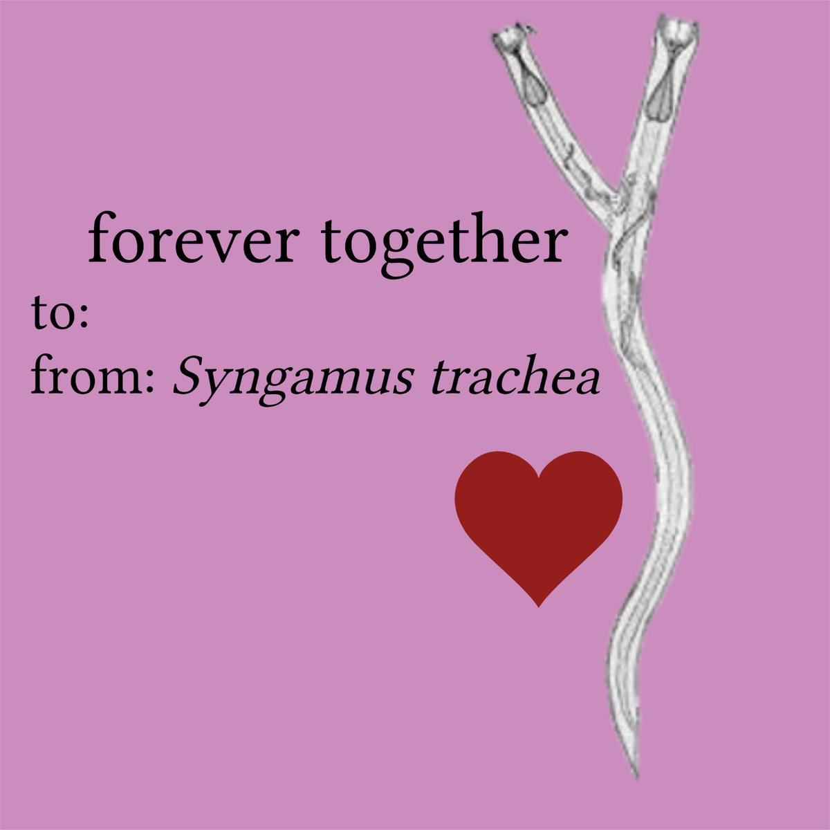 SESocParasit's tweet photo. Happy Valentine’s Day! https://t.co/M0QCEtzJhC
