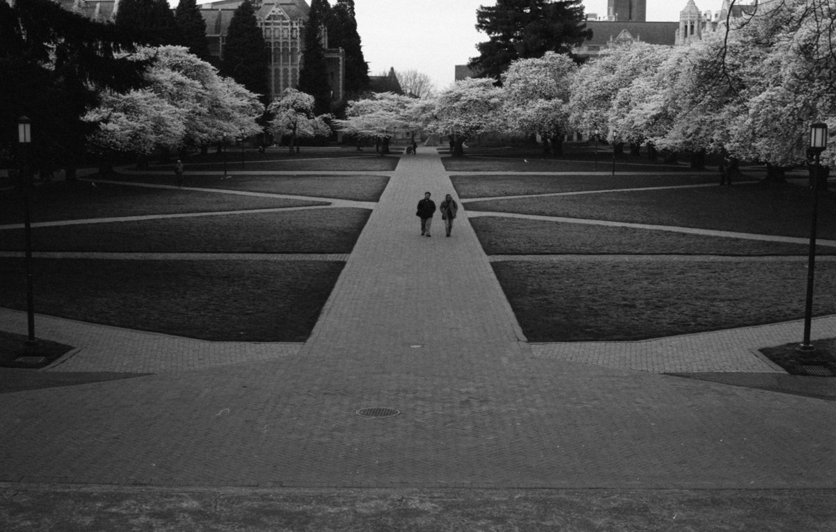Happy Valentine's Day to the two humans who found the perfect time to walk through the #cherryblossoms in full bloom at #UW. #throwback #film #28mm