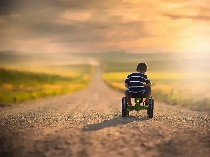 Growth comes from activity, not from intellectual understanding.
Maria Montessori