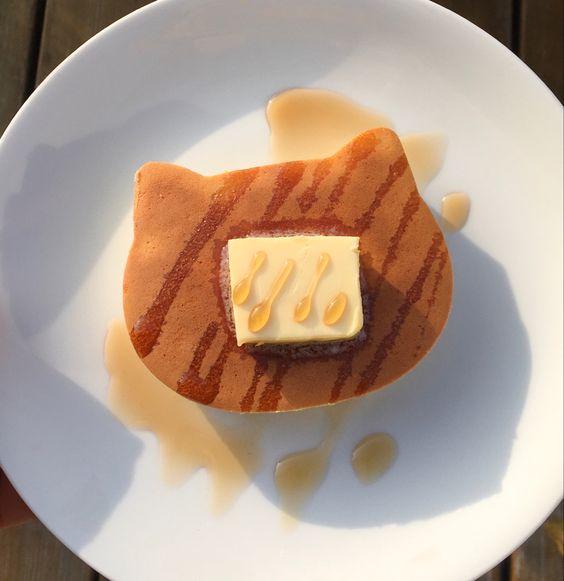 daily_dolce's tweet photo. Fluffy cat pancake https://t.co/DpxuCAYgem