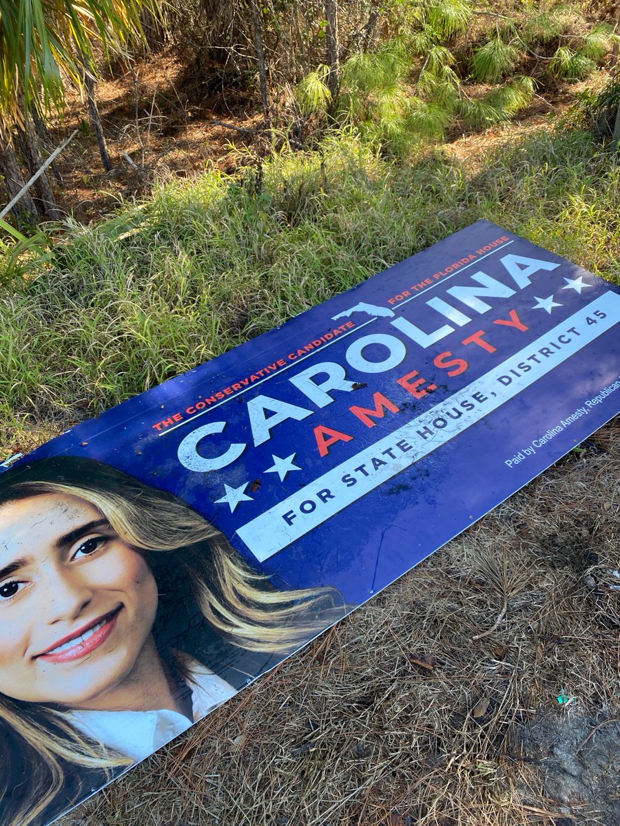 michelleswims's tweet photo. @carolina_amesty There is an old campaign sign of yours littering the roadside. Could you plz arrange for disposal. I've included location. https://t.co/mN5RpJfq4Y