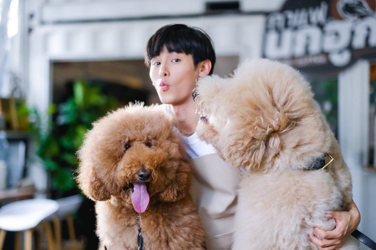 HAPPY VALENTINE DAY 💚🥰

#JaPhachara 
#TeddyJa
#จาพชร
