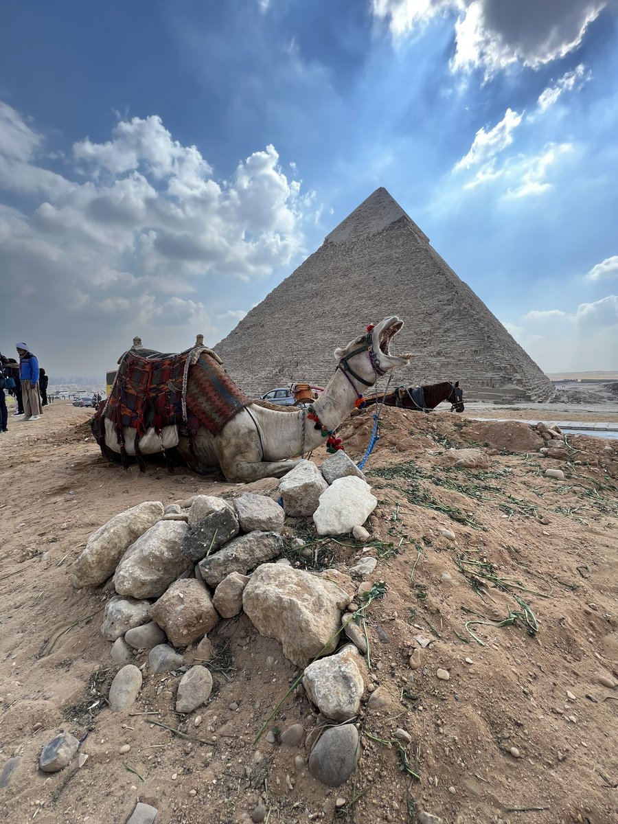Rafik_Mikati's tweet photo. Captured with iPhone lens #iPhone14ProMax #iPhone14 #iPhone14 #photography #iPhoneWallpapers https://t.co/IbBARtd6QR