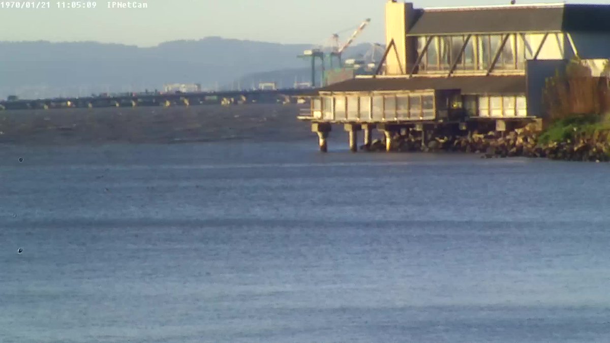 #windywindy... > 15kt <a href="/calsailing/">Cal Sailing Club ⛵️</a>! more at whatskraken.cal-sailing.org/wind