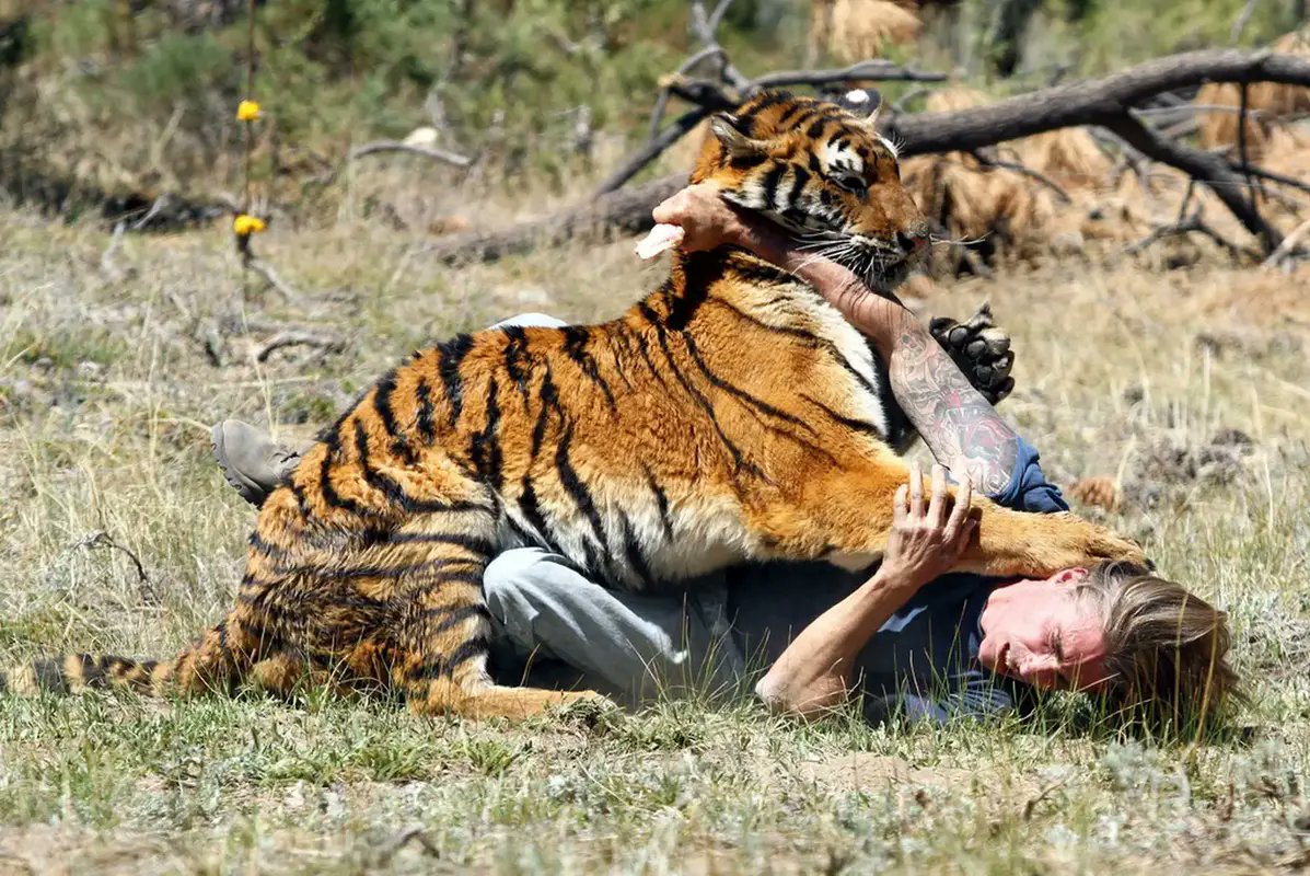 RincnCuriosoo's tweet photo. El 90% de las veces que ves a un hombre perdido en sus pensamientos es por que se está preparando mentalmente para un escenario como este https://t.co/ezruVjJJrr