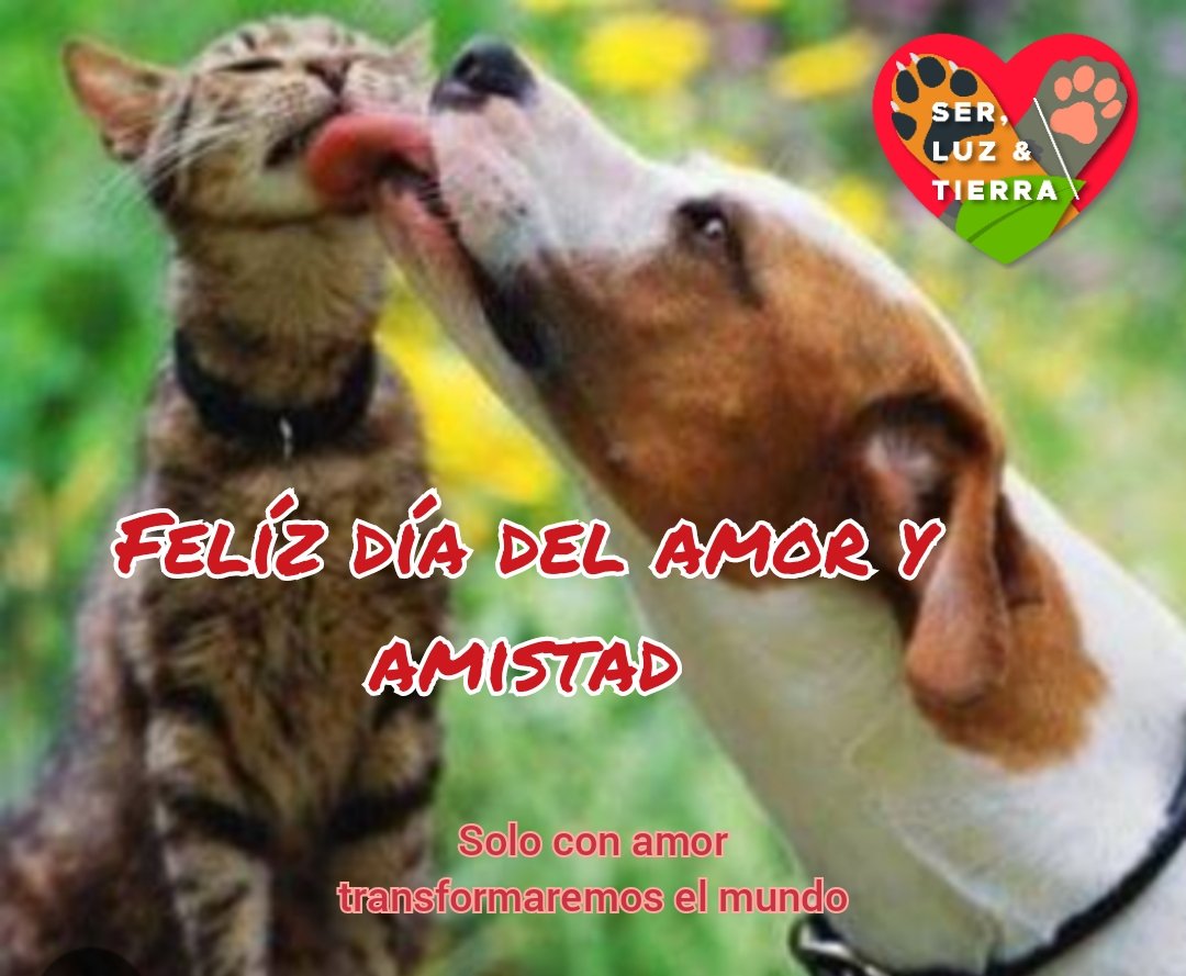 SerLuzyTierraAC's tweet photo. El amor se demuestra a lenguetazos, felíz dia les desesmos la familia Ser Luz y Tierra https://t.co/Mshe1zAFsb