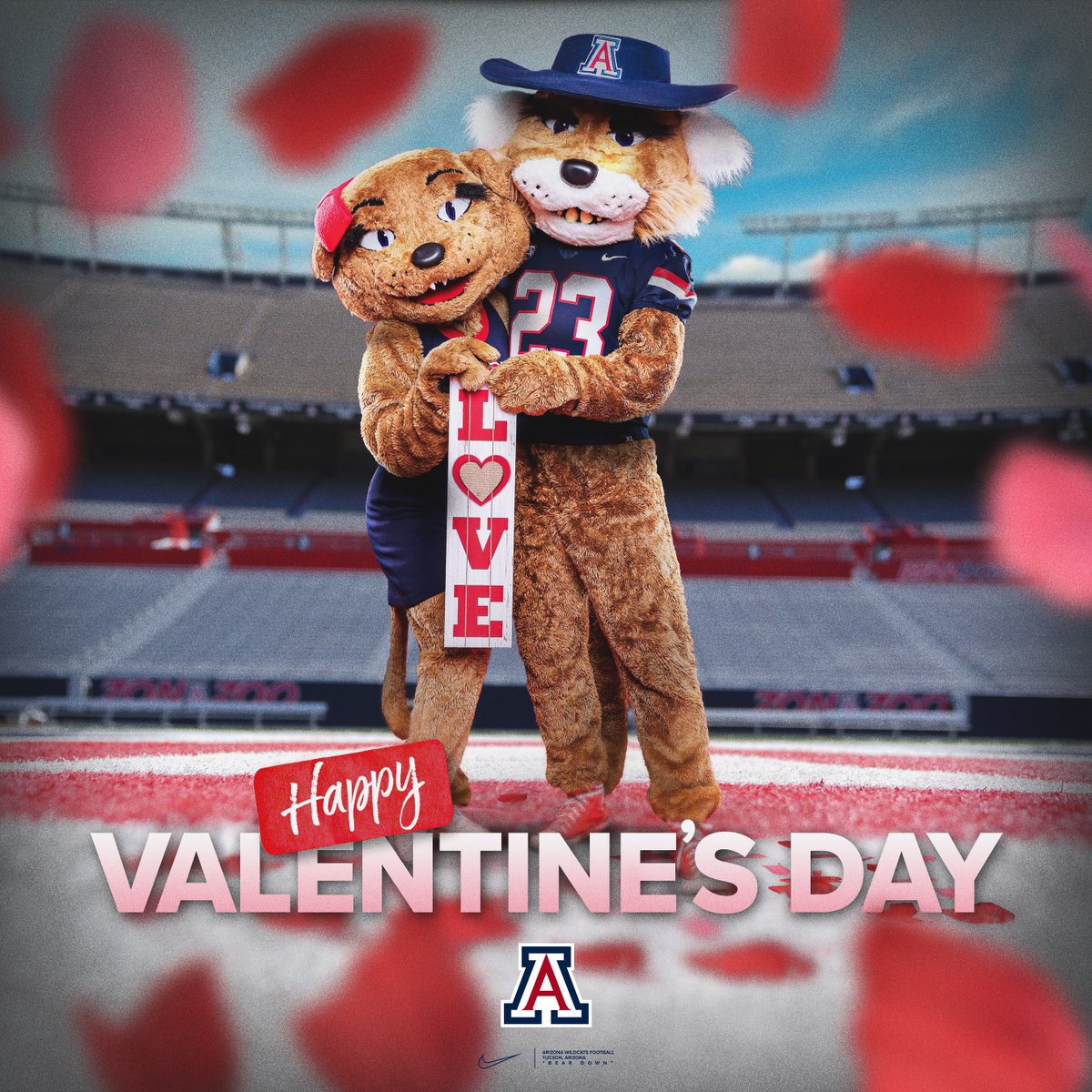 Happy Valentine's Day Wildcats! ❤️💙