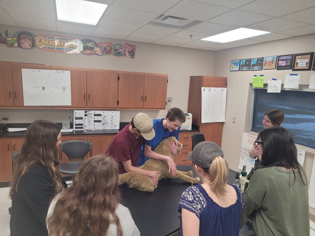baisdcc's tweet photo. 10th Grade visitors, bring your VIP Card and a guest to the Open House Thursday, February 16th, from 4:00-7:00 pm for a chance to win a Smart TV, JBL Flip 6, and gift cards to local restaurants!
#baisd #baisdcc #bayarenaccareercenter #GLBR #ctemonth https://t.co/Me43yKWkLQ