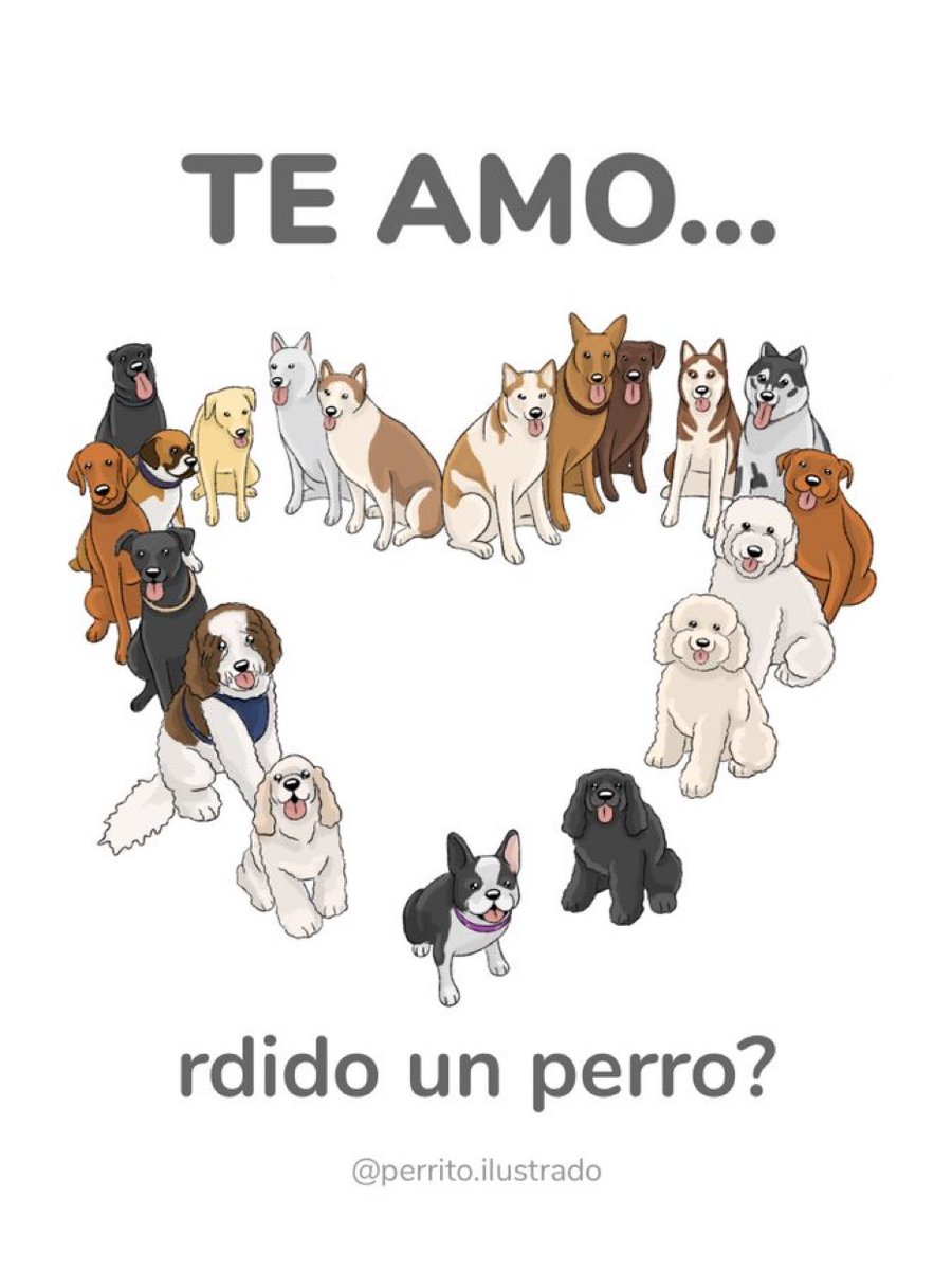 DiloConPerritos's tweet photo. #DiaDeSanValentin https://t.co/BpwiMJjQCE