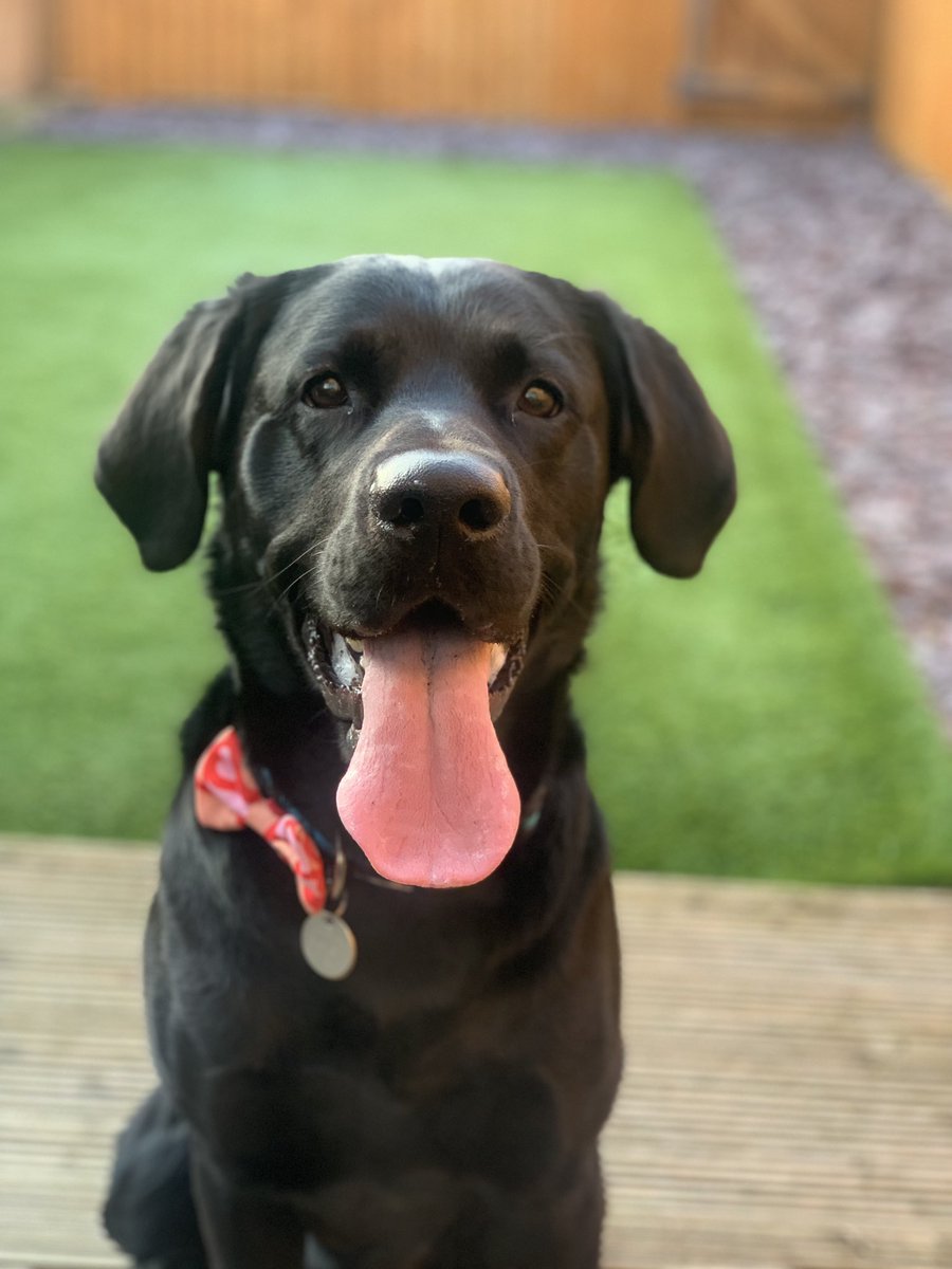 happy valentines day 💌💘