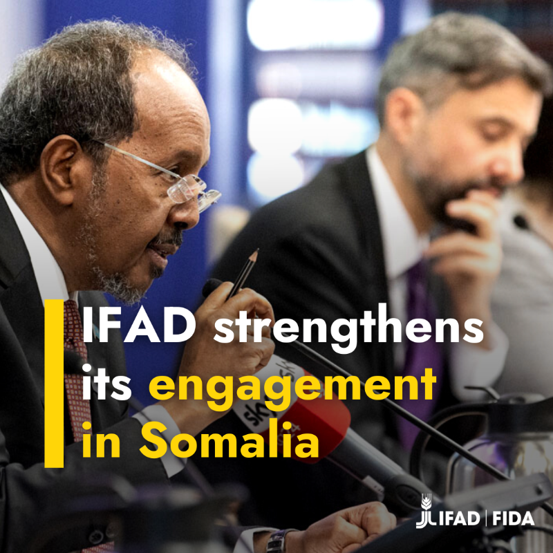 IFAD's tweet photo. IFAD will strengthen its support to #Somalia 🇸🇴 amid a historic drought, @IFADPresident announced today.

Our renewed engagement is possible thanks to #Belgium 🇧🇪 #Germany 🇩🇪 #Italy 🇮🇹 + #Sweden 🇸🇪 clearing Somalia’s arrears to IFAD.

#IFADGoverningCouncil