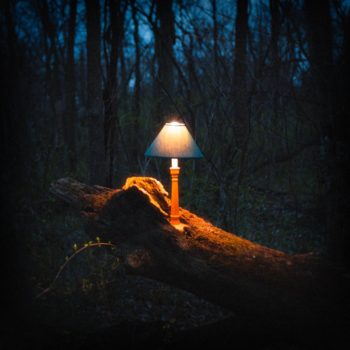 Liminal Cinema tweet media