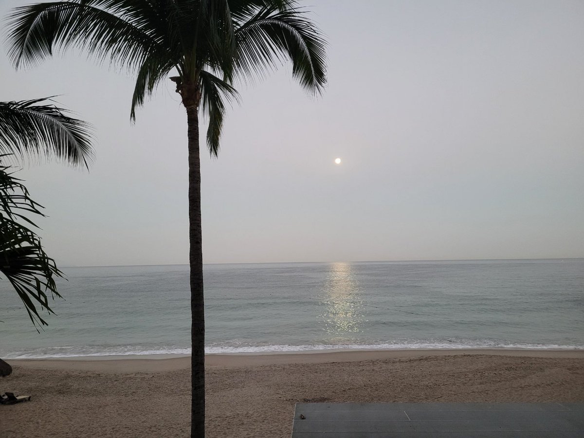 IBRoof's tweet photo. A fun week full of volunteering and some beach volleyball! We are so thankful for everyone who came to our IB Contractor Retreat in Puerta Vallarta #TeamIB 🌊😎 https://t.co/rQcB6n9nrF
