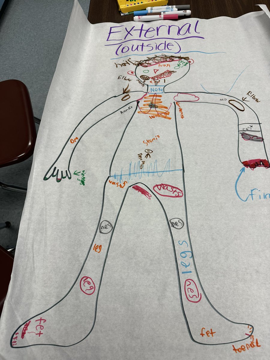Learning about internal and external parts of the body in second grade <a href="/TimbercrestElem/">Timbercrest Elementary School</a> <a href="/VCSscience/">VCS Science Office</a> <a href="/rjlucas28/">Becki Lucas</a> 🐯