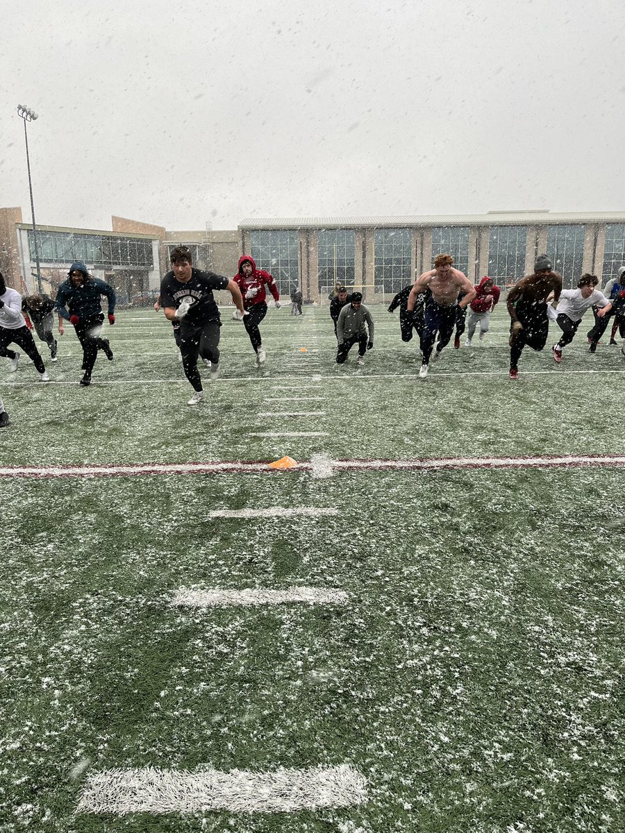 Colorado Mesa Football tweet media