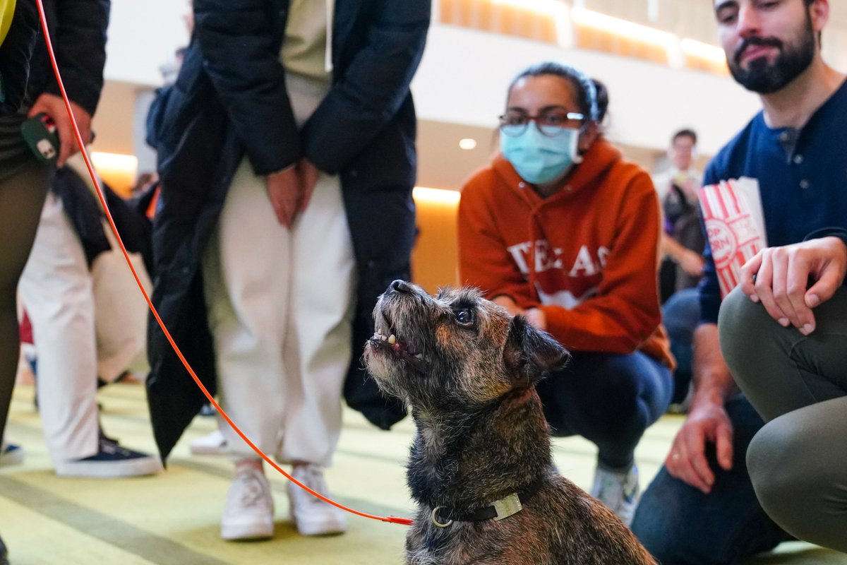 Cornell College of Veterinary Medicine on Twitter "Happy 25th