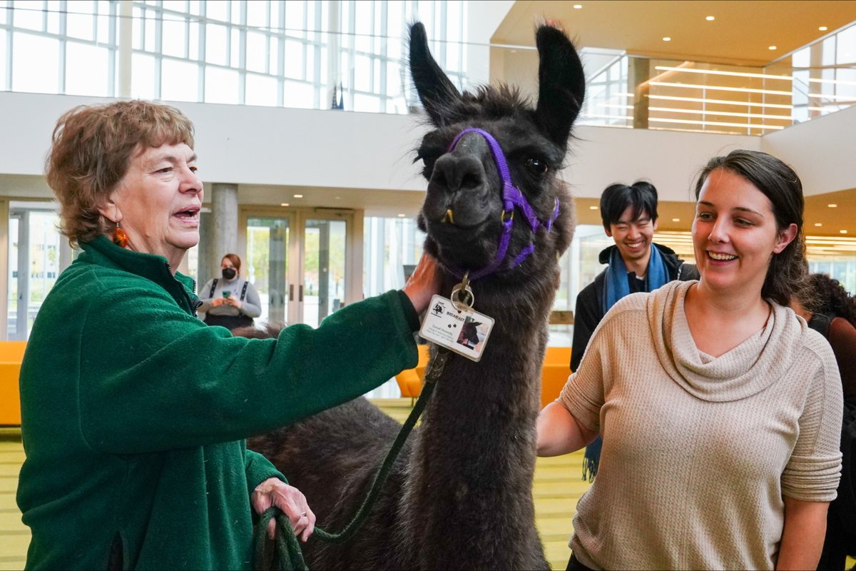 Cornell College of Veterinary Medicine on Twitter "Happy 25th