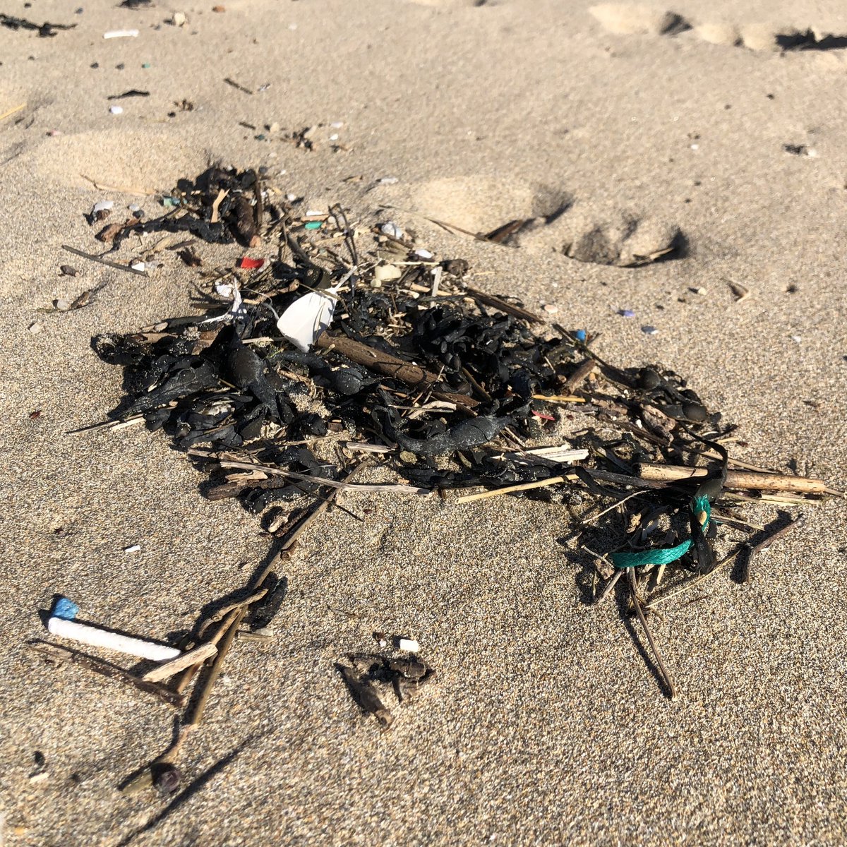 A stunning day to show Perranporth beach some love with with @CwallWildlife @dynamicdunes and Perranporth MCG. Lots of microplastics and rope, and unfortunately, plenty of Fishermen’s kisses for Valentine’s Day! ❤️ #LoveYourBeach #plasticpollution #beachclean #Cornwall