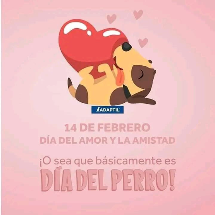 Protección Animales tweet media