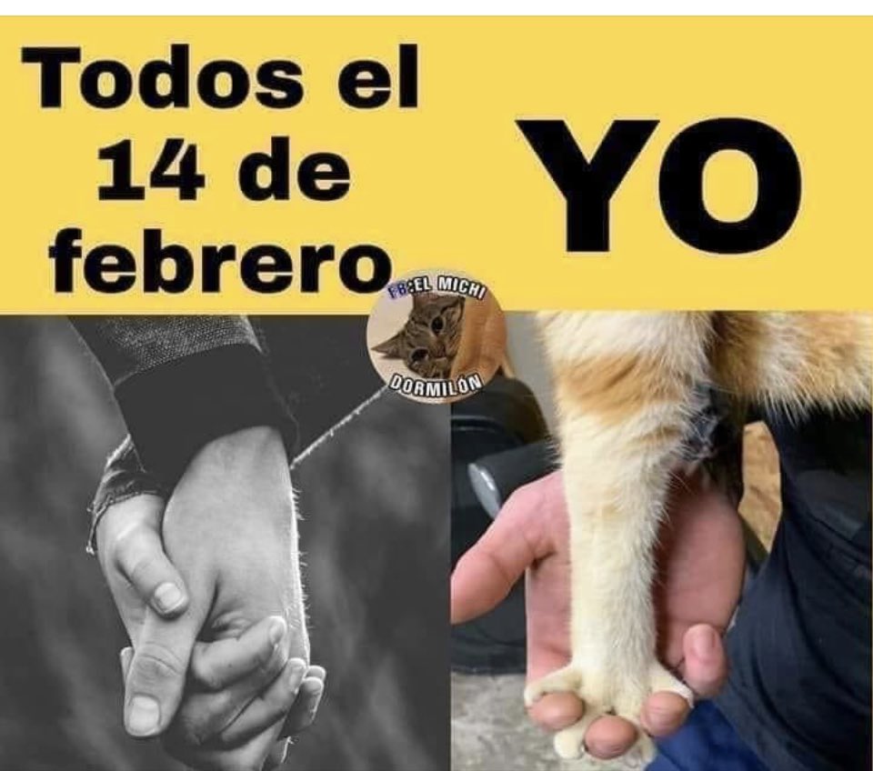 Protección Animales tweet media