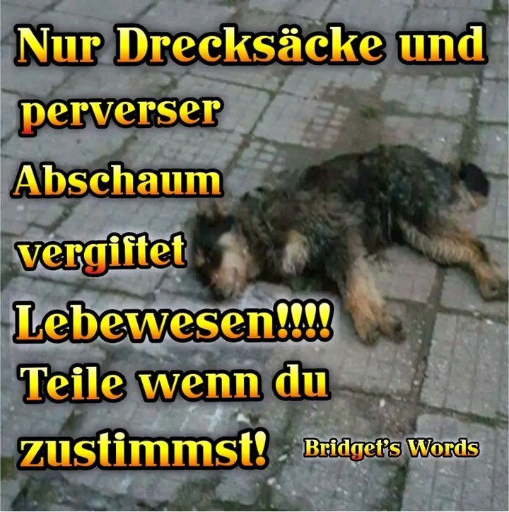 babsi1215572's tweet photo. Ich werde nie verstehen,wie dieser Abschaum so unmenschlich mit diesen liebenswürdigen Wesen umgehen kann 😡😡😡😡 https://t.co/PiklJnb5Nk
