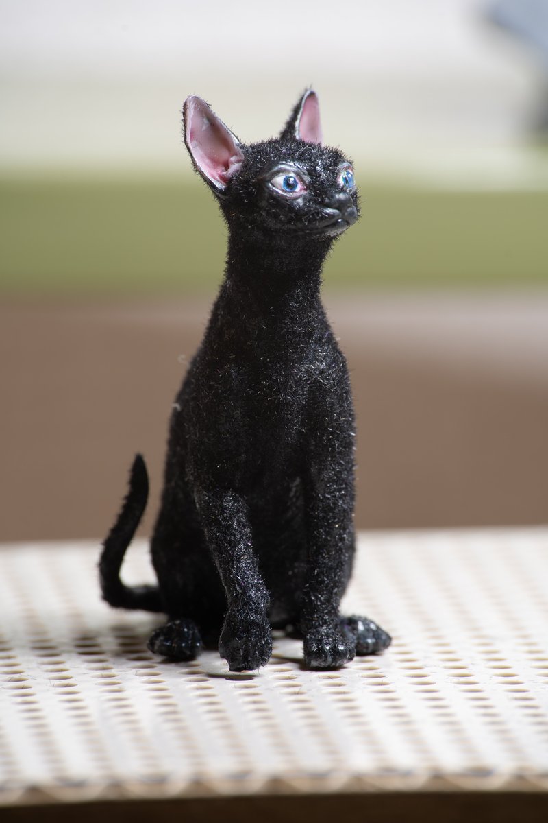 137 (@137) / Posts / X