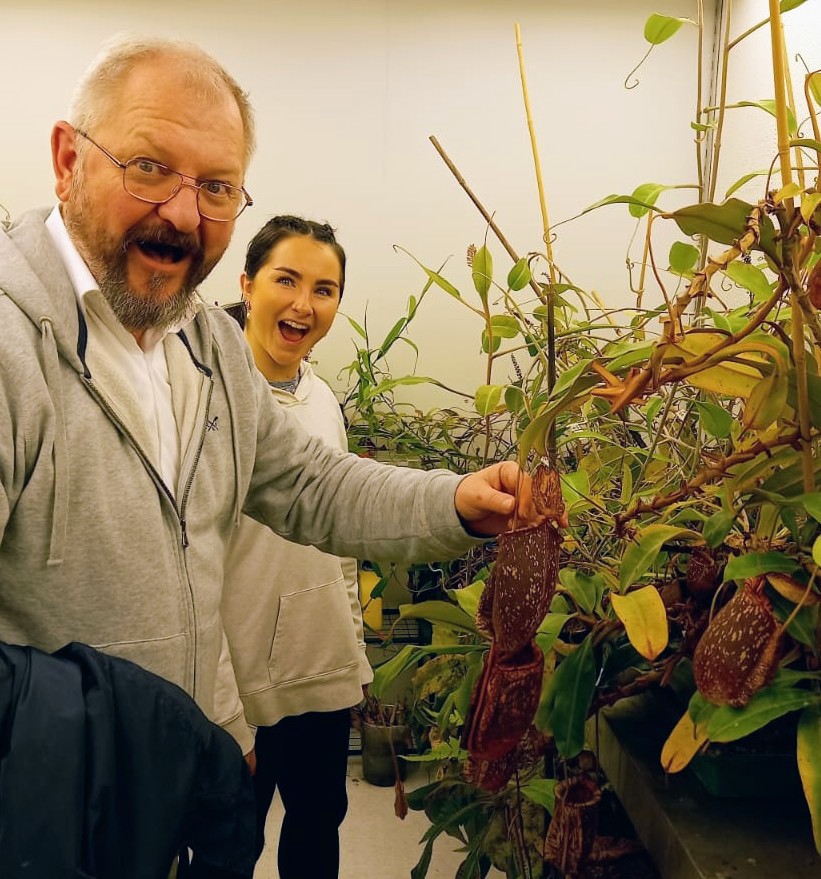 <a href="/BASElabBristol/">Holderied's BASElab</a> members Marc and MSci student Emily are excited about the pitcher plants in @MechEcoLab