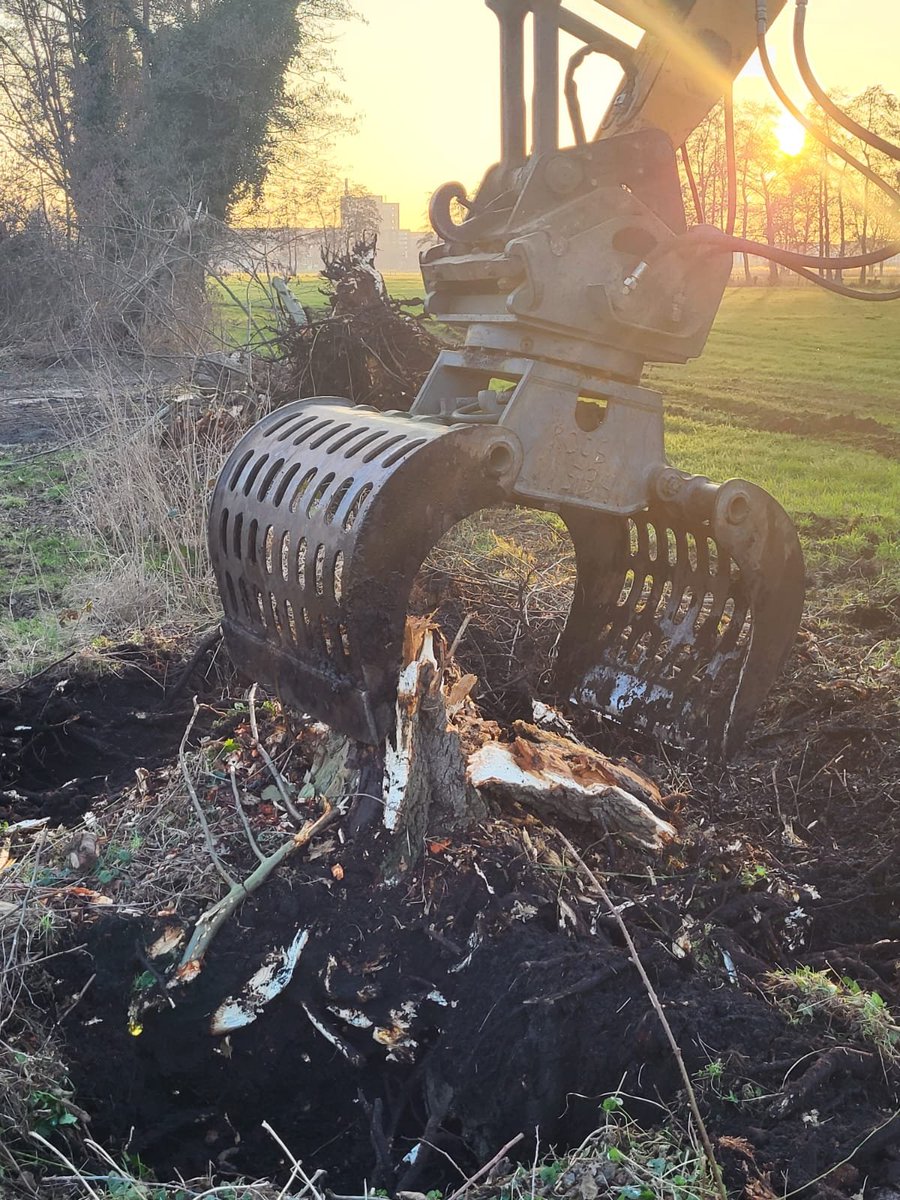 <a href="/gem_amersfoort/">Gemeente Amersfoort</a> is dit normaal slopen van 100 jaar oude bomen? Omg. Palissaden op dit moment